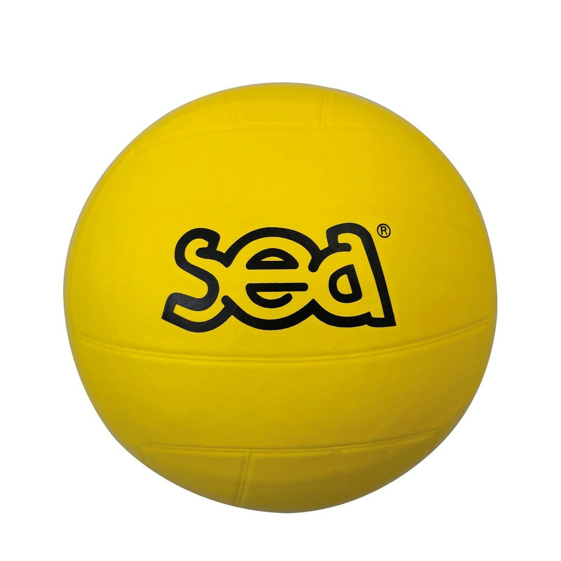 Multisport ball SEA