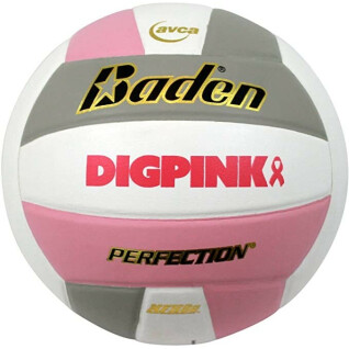 Volleyball Baden Sports Perfection