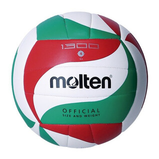 Volleyball ball Molten 1300