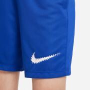 Children's shorts Nike Dri-FIT Trophy 2023 GX