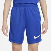 Children's shorts Nike Dri-FIT Trophy 2023 GX